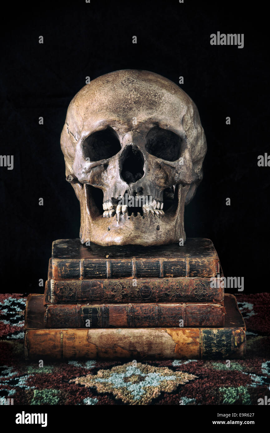 Still life with skull sitting on old books Stock Photo