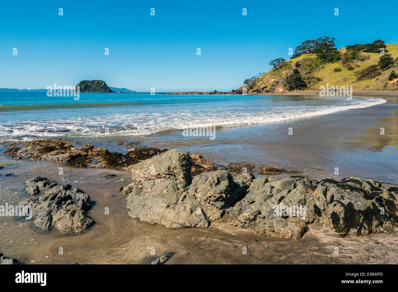 Sandy shore and rocks, Port Jackson, Coromandel Peninsular, New Zealand