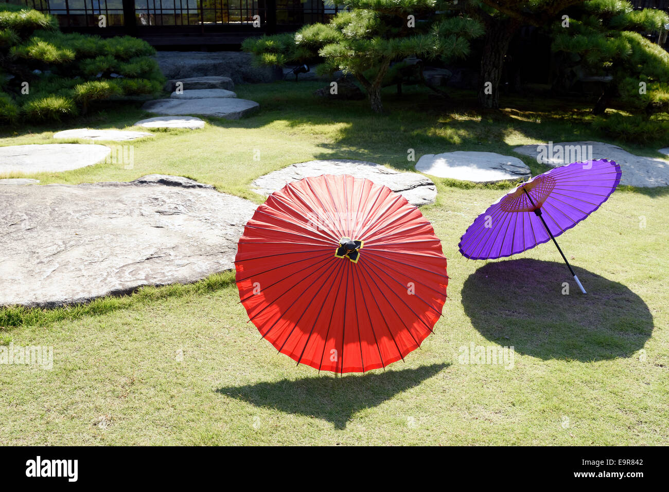 Japanese traditional umbrella in Japanese garden Stock Photo Alamy