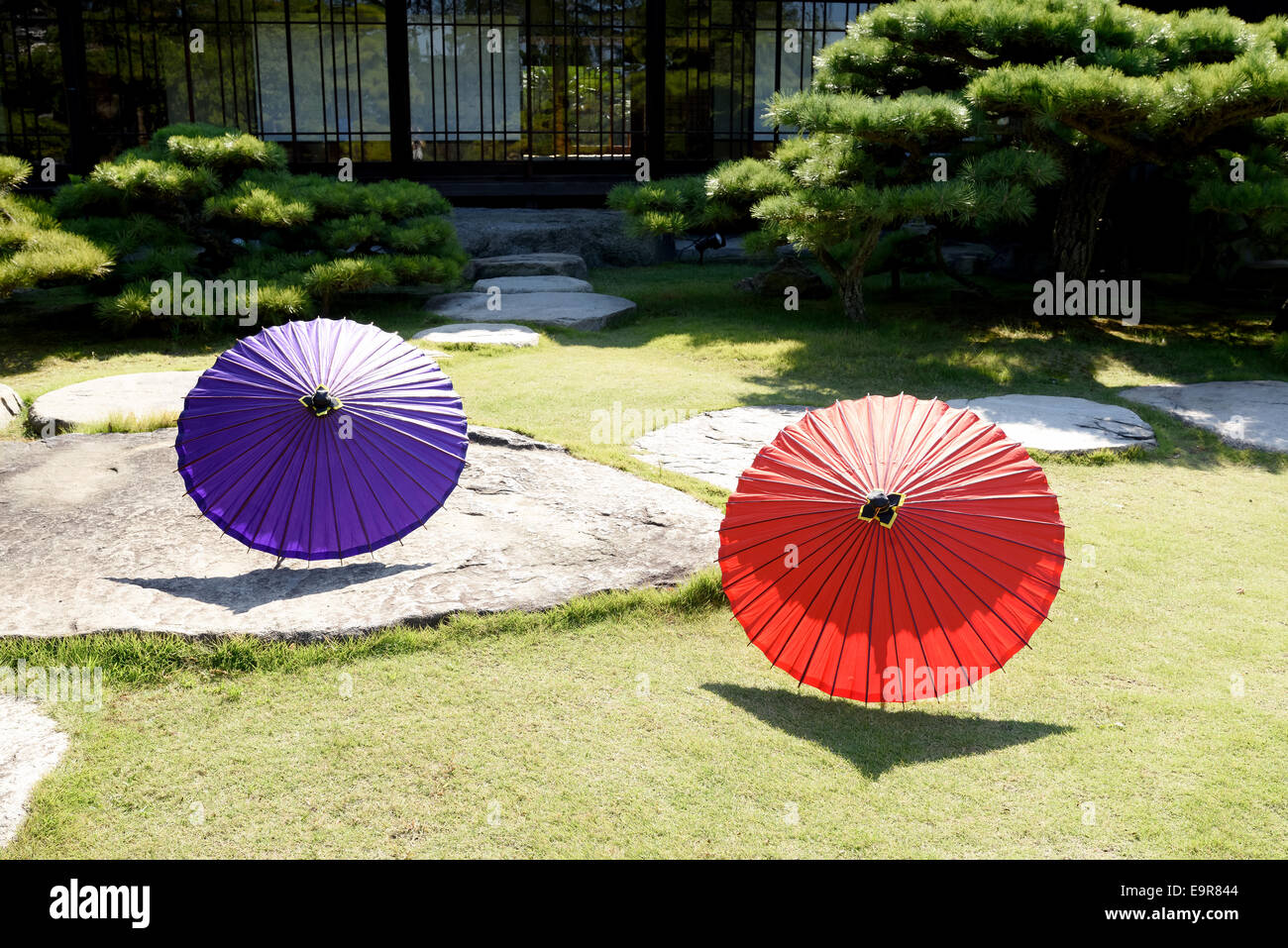 Japanese traditional umbrella in Japanese garden Stock Photo