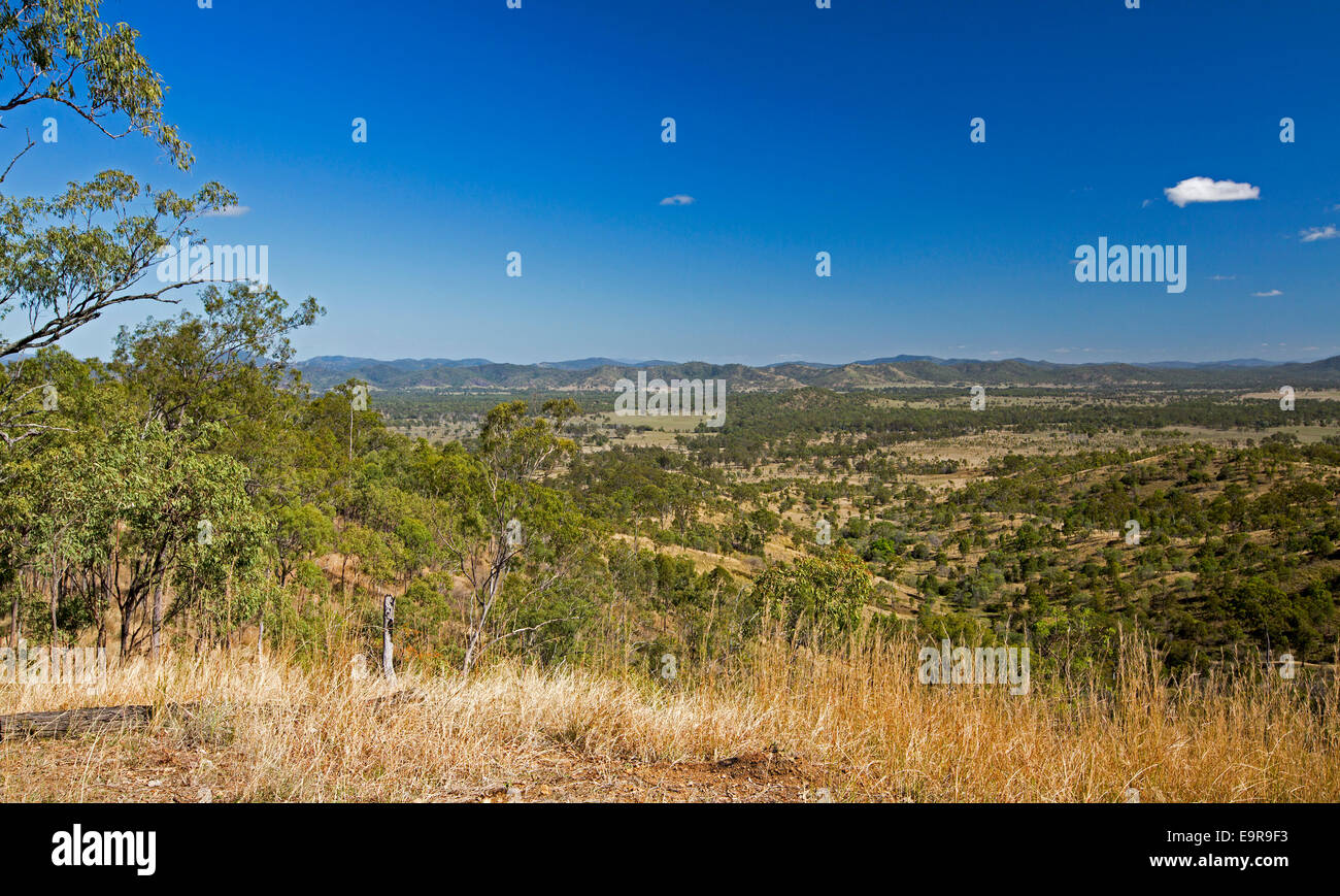 View of vast central Queensland landscape with forested valley & ranges stretching  to horizon under blue sky Stock Photo