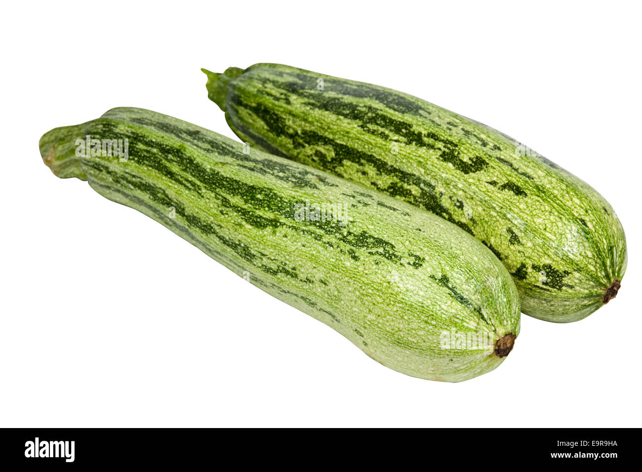two isolated variegated baby marrows on white background Stock Photo