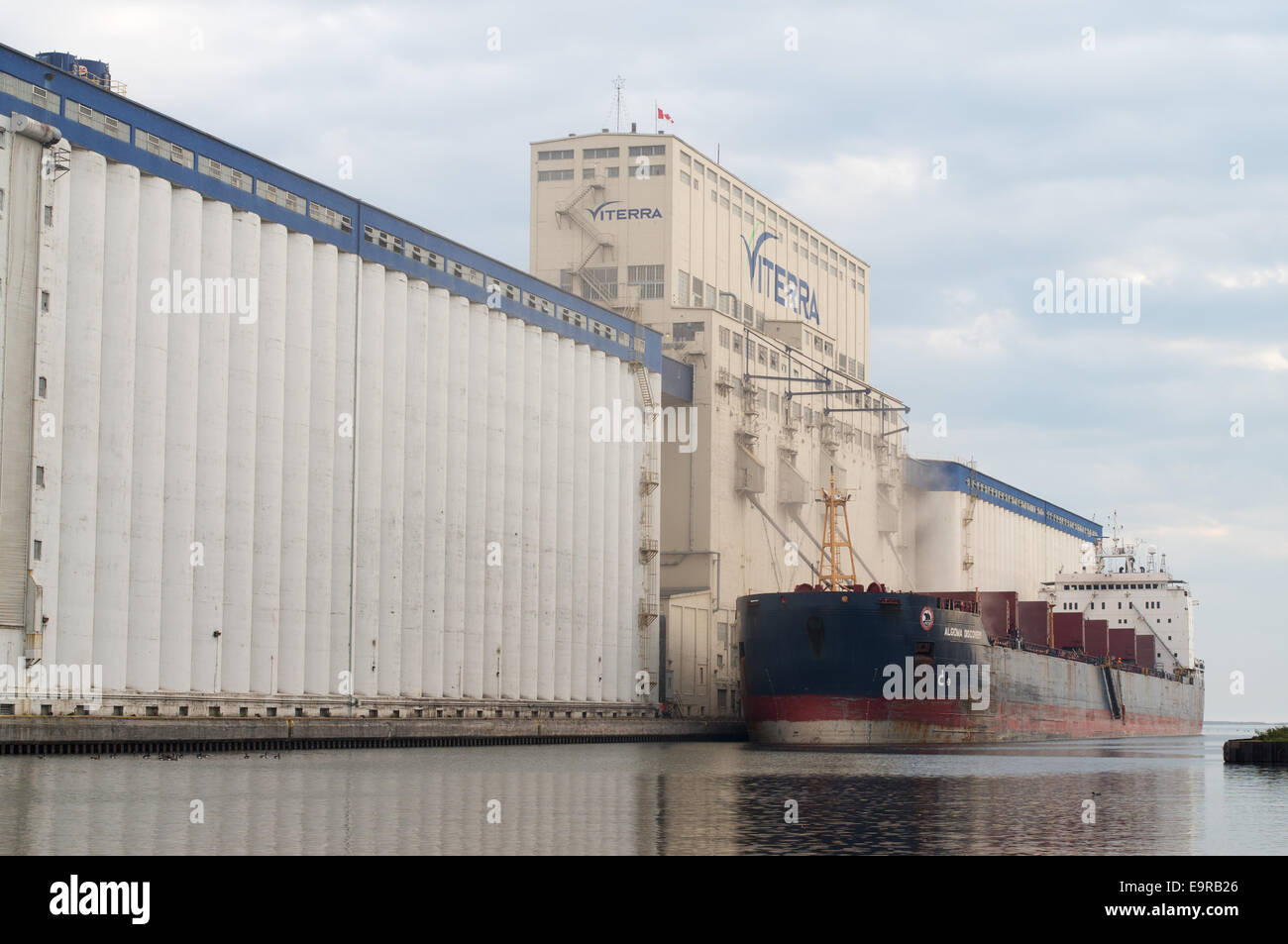 Bulk carrier Algoma Discovery loading grain at the Viterra silo, Thunder Bay, Ontario, Canada. Stock Photo