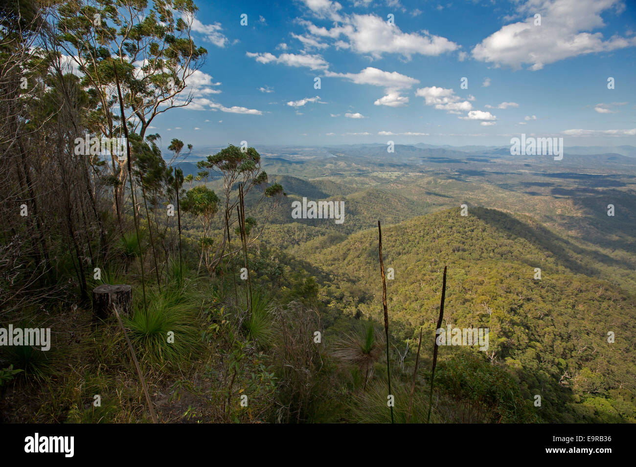 Spectacular view of vast Australian landscape, forested valleys & ranges stretching to horizon at Kroombit Tops National Park Stock Photo