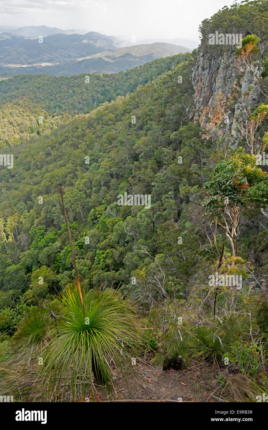View of landscape with high rocky cliff, forested valley & distant cloud covered ranges from lookout Kroombit Tops National Park Stock Photo