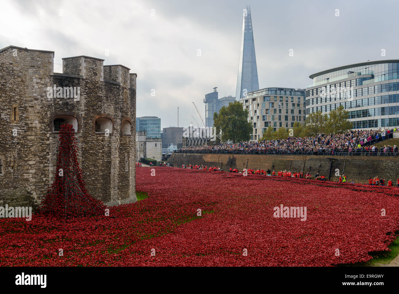 Blood Swept Lands and Seas of Red - Tower of London Poppies Stock Photo