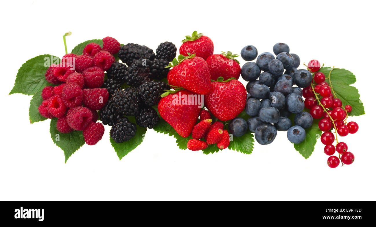 row of fresh berries Stock Photo - Alamy