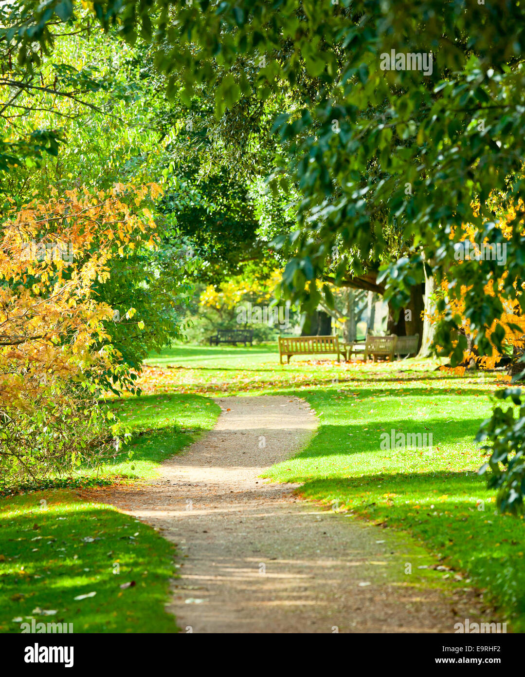 Footpath at the Royal Botanic Gardens in London Stock Photo - Alamy
