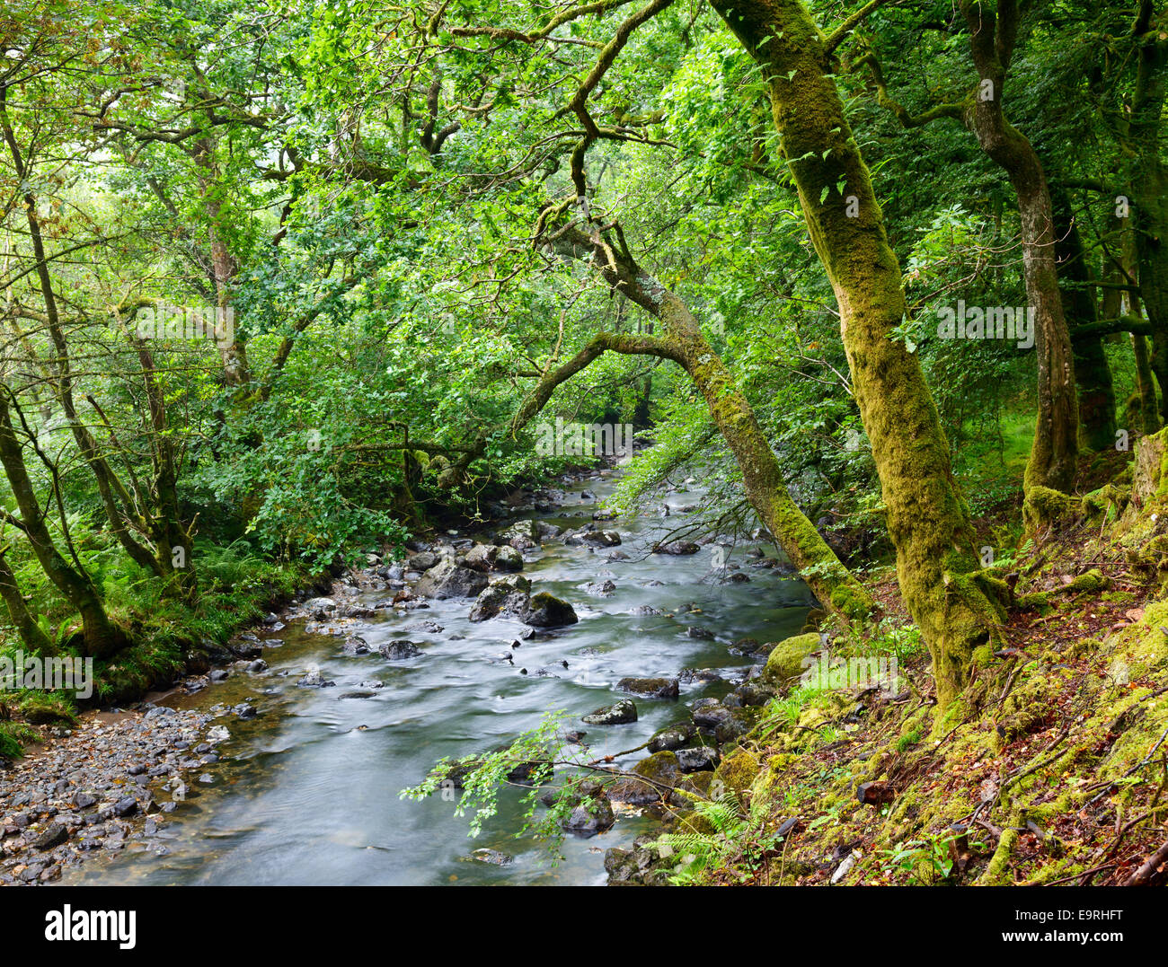 Croe Waret river at Ardgartan in Scotland Stock Photo