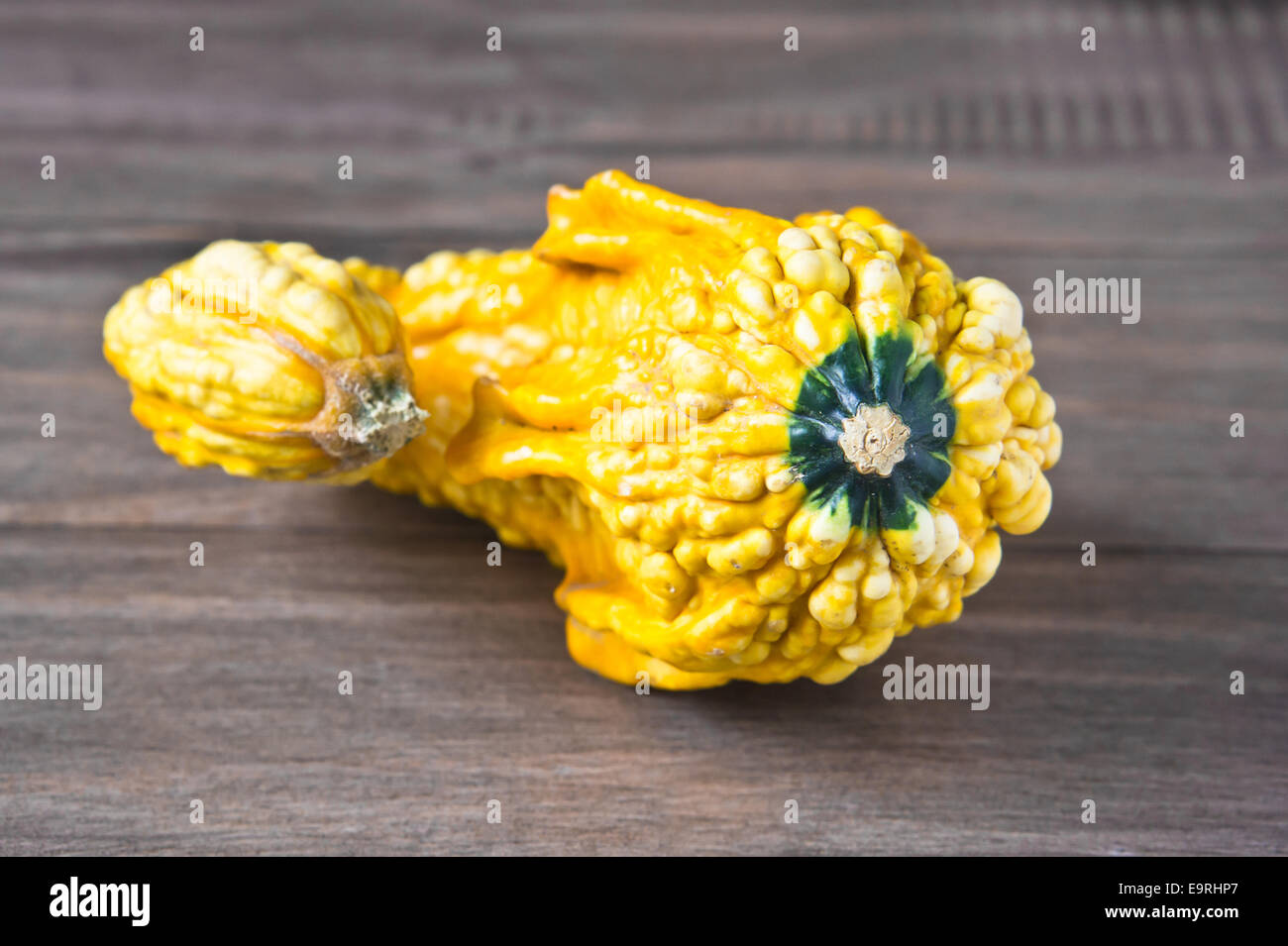 A decorative yellow gourd on a wooden table top.  Shallow depth of field with focus on front only. Stock Photo