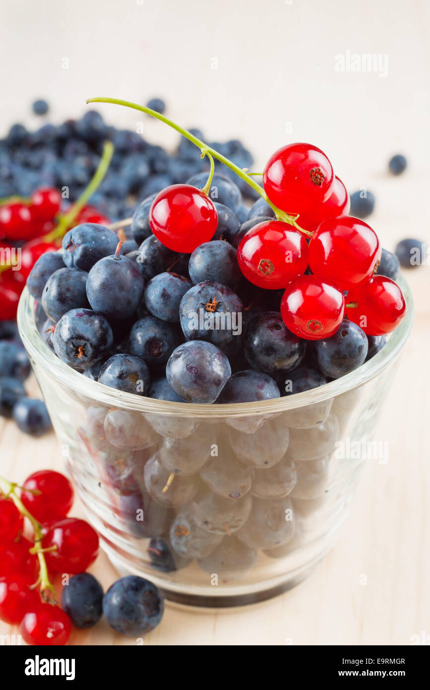 Blueberries and redcurrant in a small glass Stock Photo
