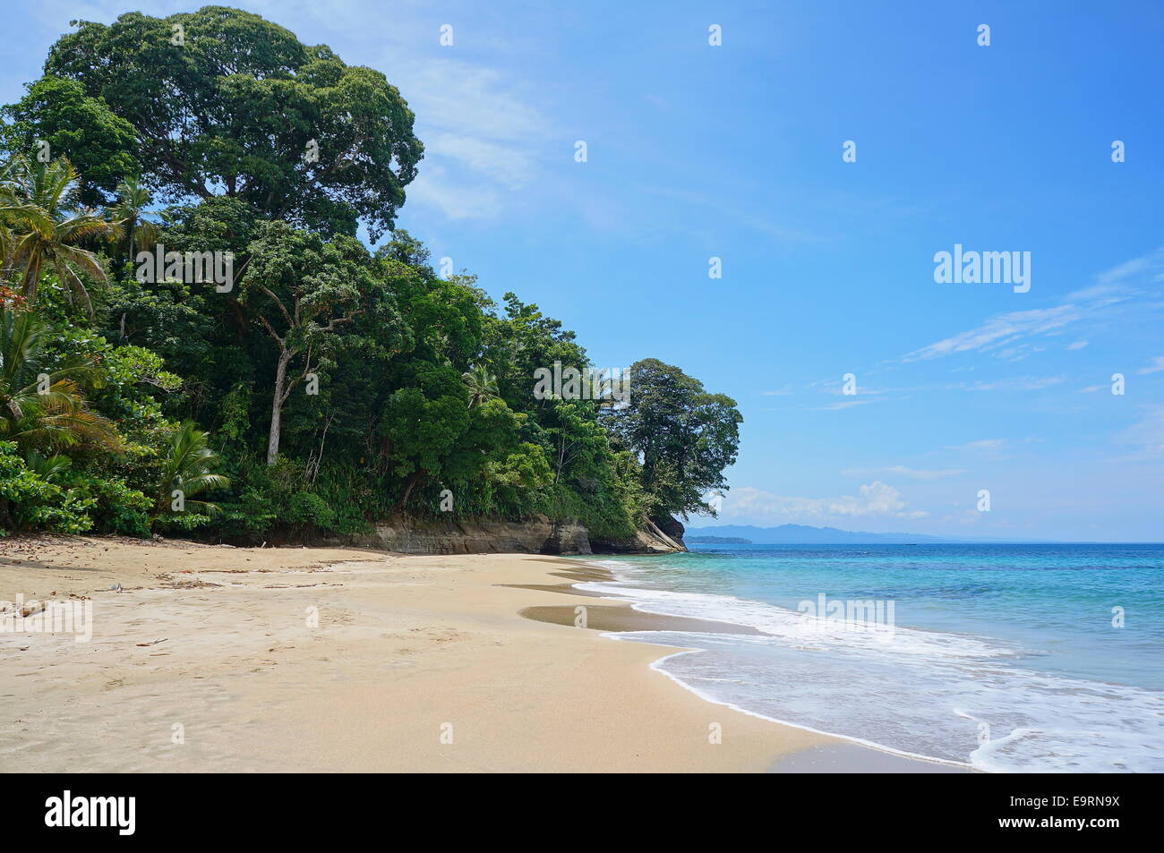 Costa Rica beach with lush vegetation on the Caribbean coast, Punta Uva, Puerto Viejo de Talamanca Stock Photo