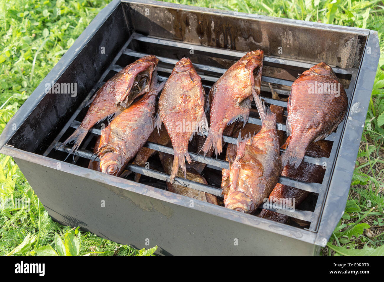 Smoked fish in smokehouse at the outdoors Stock Photo Alamy