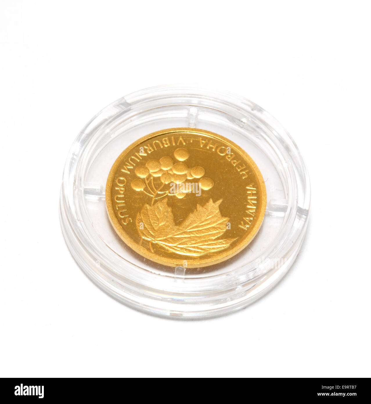 Gold coin of Ukraine. two hryvnia Stock Photo