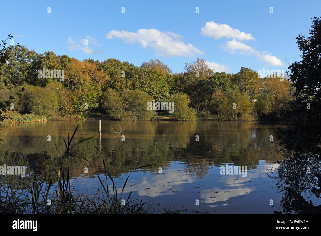 Stew pond hires stock photography and images Alamy