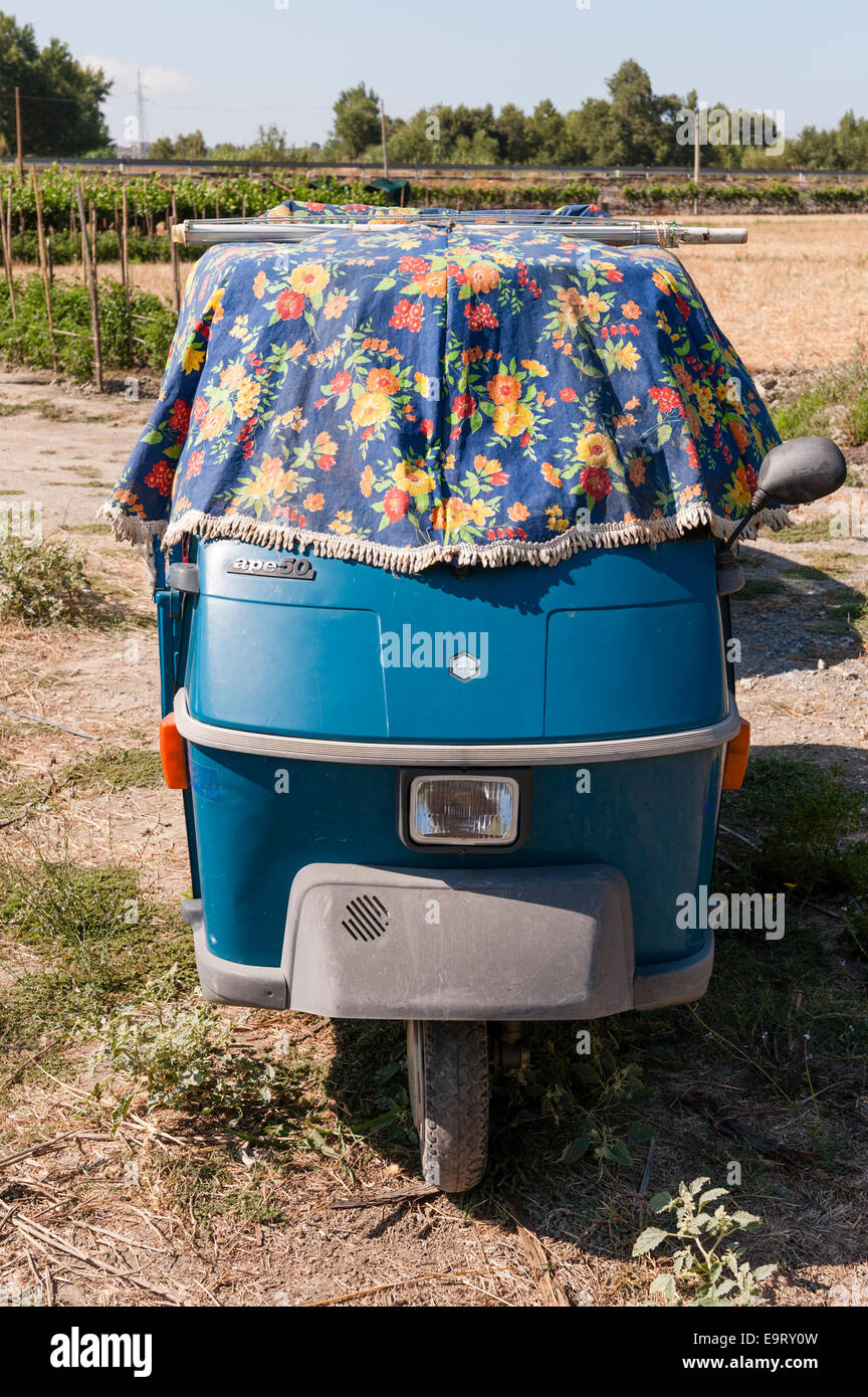 A Piaggio Ape 50 (50cc) three-wheeler shaded from the summer sun in a farmer's field in Calabria, Italy Stock Photo