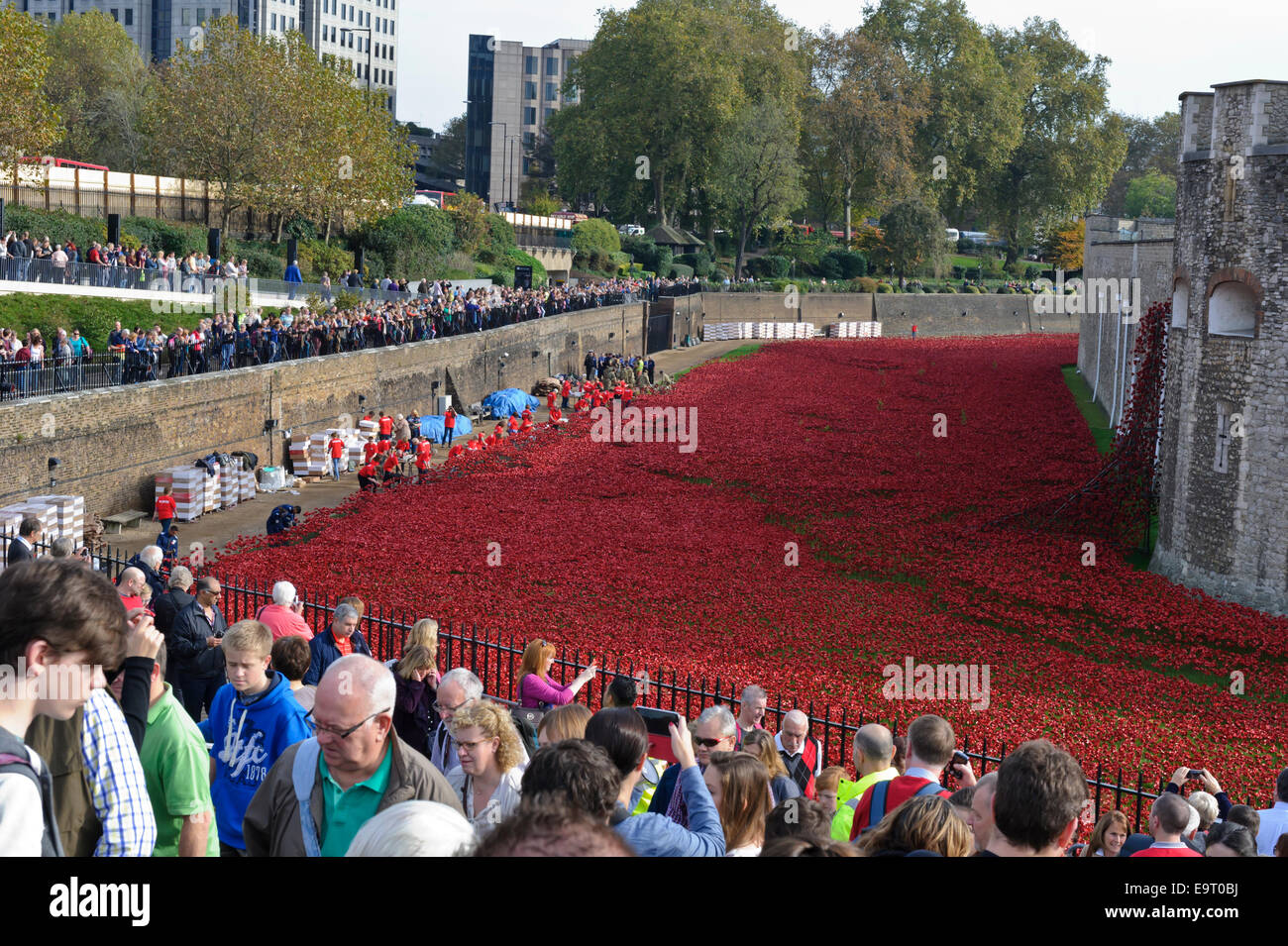 Visitors admiring the display of poppies outside the wall of Tower of London, England, United Kingdom. Stock Photo