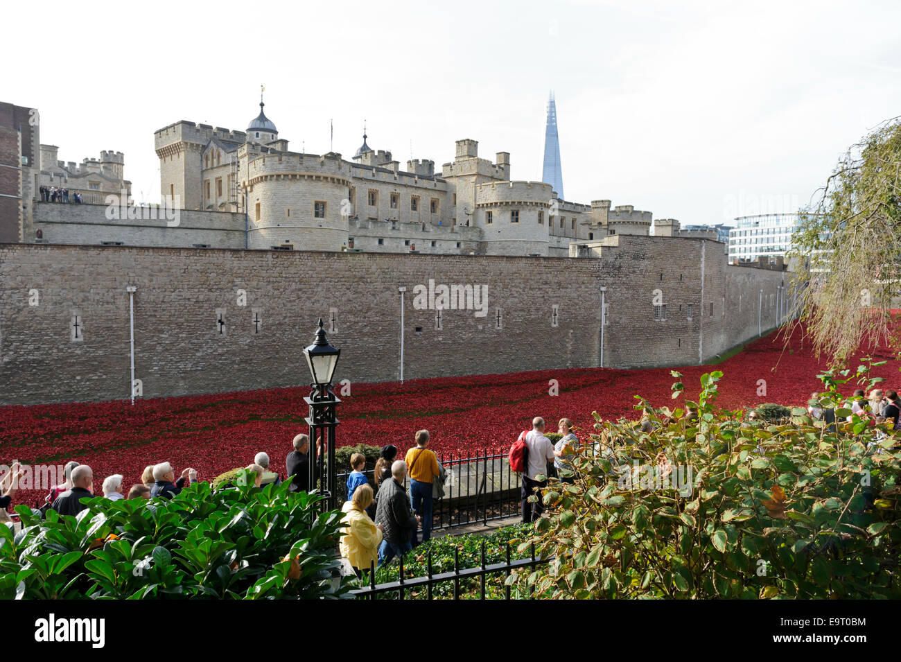 Visitors admiring the display of poppies outside the wall of Tower of London, England, United Kingdom. Stock Photo
