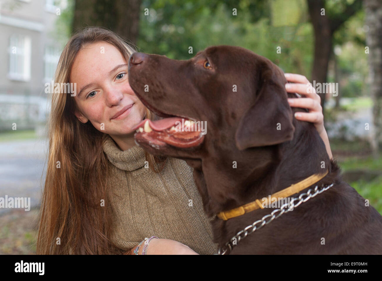 Young cute girl walking with her big dog Stock Photo - Alamy