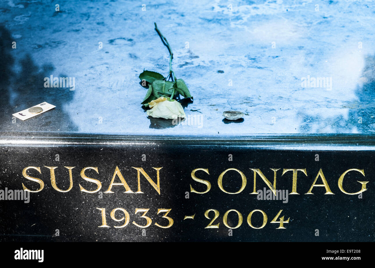 graveside of american writer susan sontag, montparnasse cemetery,  paris, ile de france, france Stock Photo