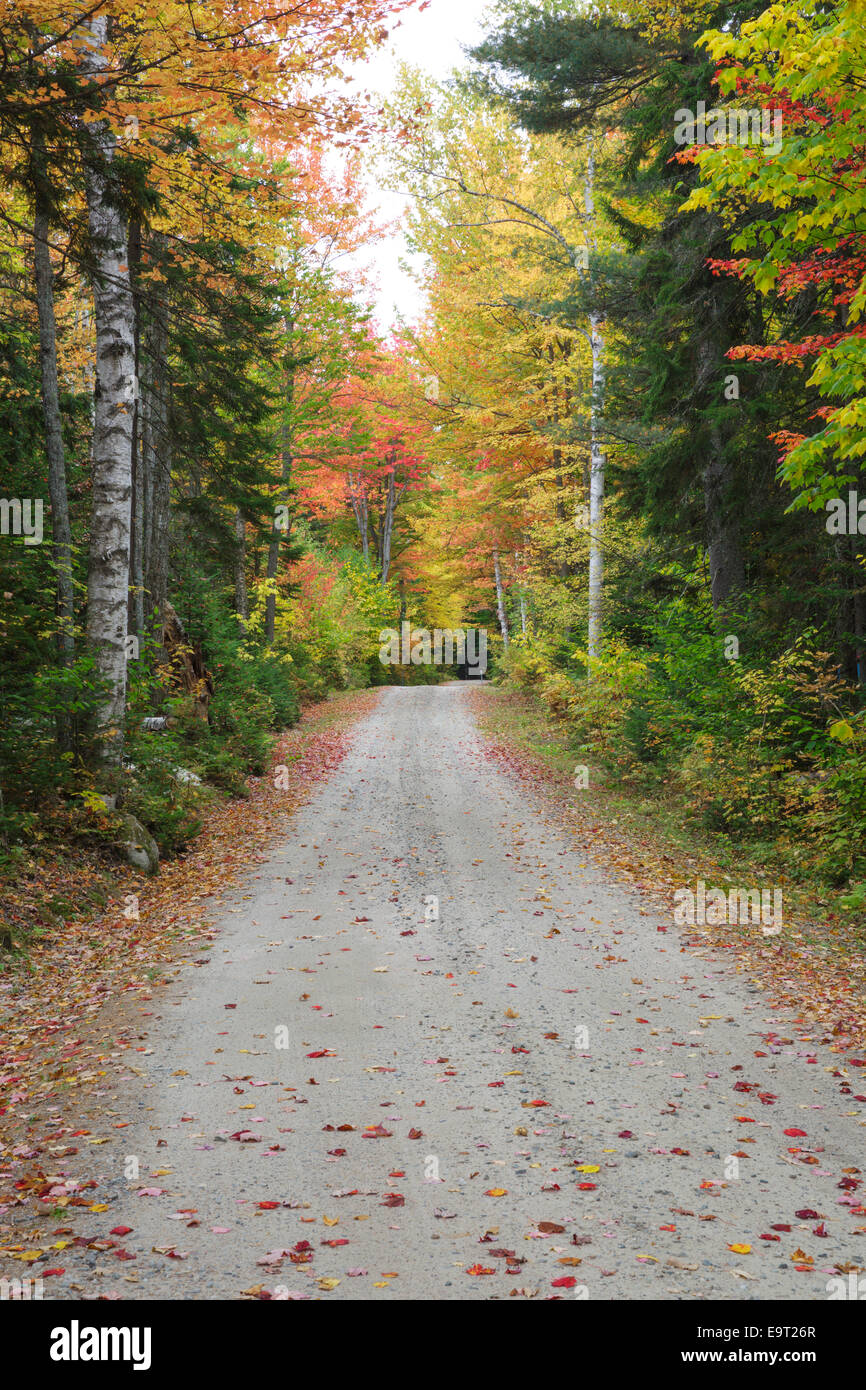 Milan Hill State Park in Milan, New Hampshire USA during the autumn months Stock Photo Alamy