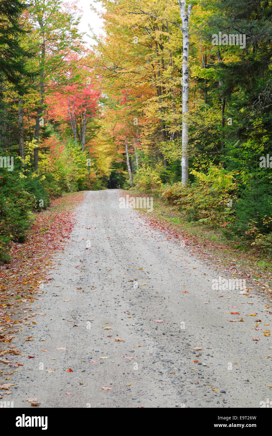 Milan Hill State Park in Milan, New Hampshire USA during the autumn