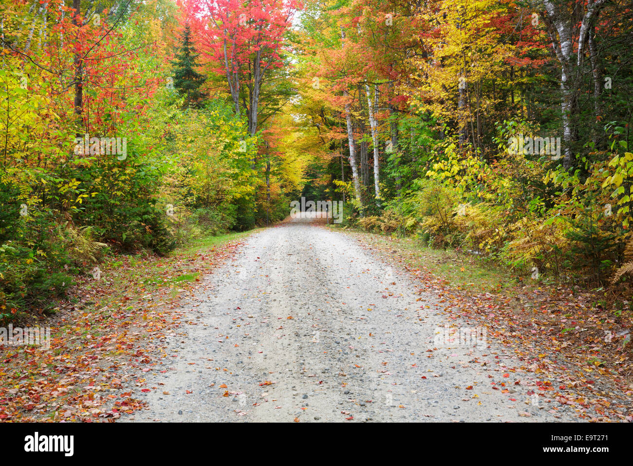 Milan Hill State Park in Milan, New Hampshire USA during the autumn