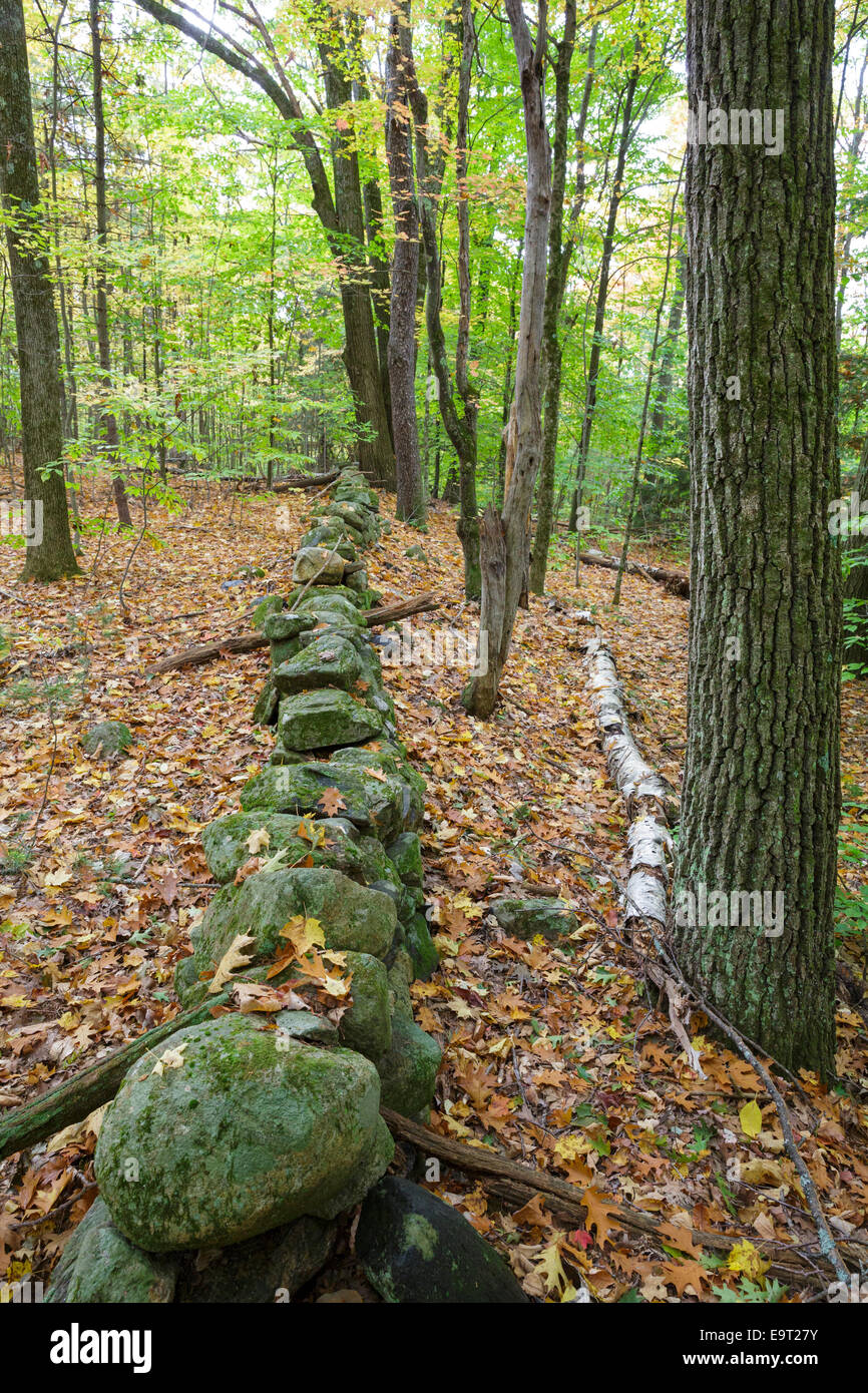 Stone wall new england forest hi-res stock photography and images - Alamy