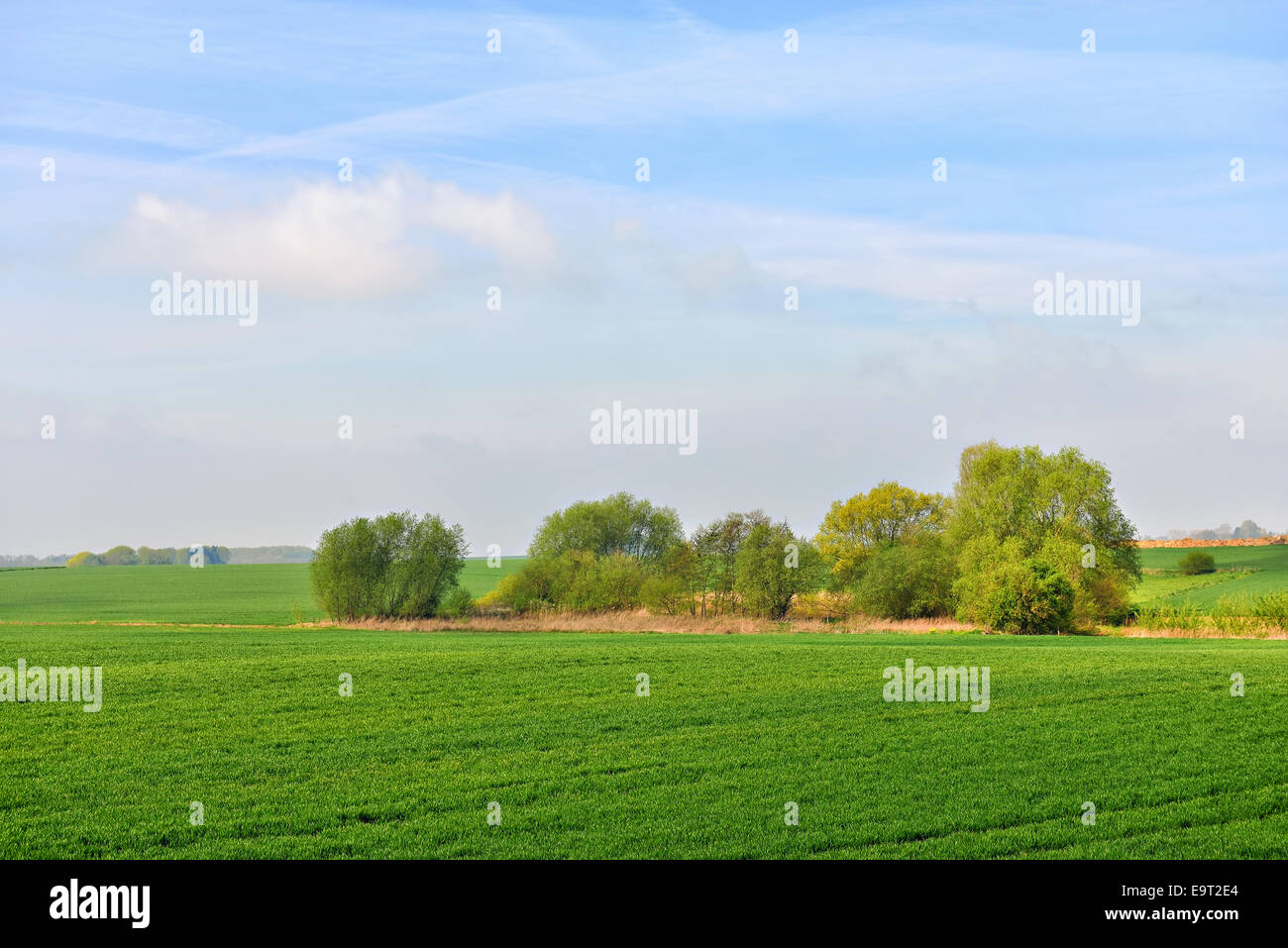 landscape in Walloon, province Liege in Belgium in spring morning Stock Photo