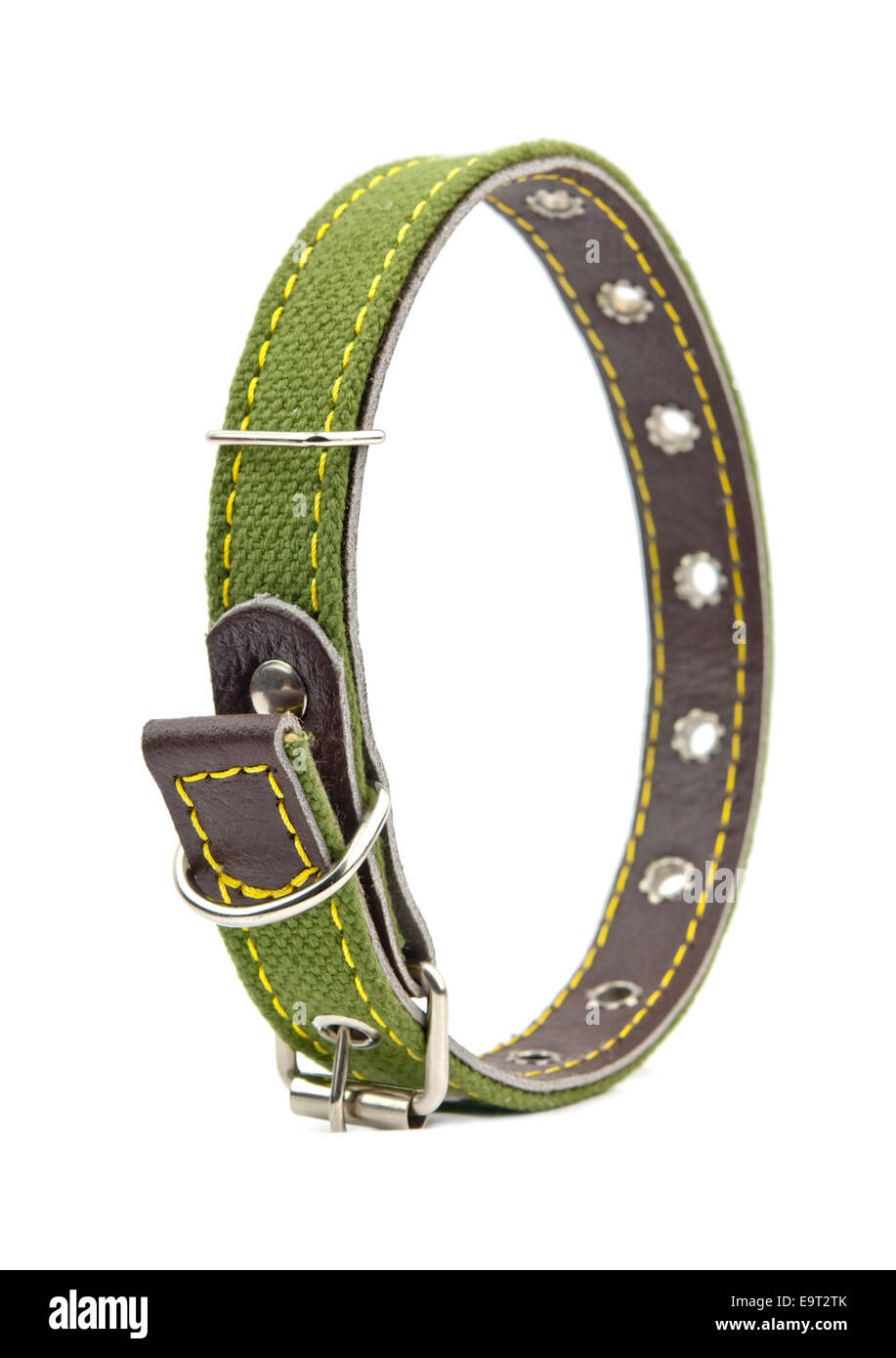 green leather dog collar Stock Photo Alamy