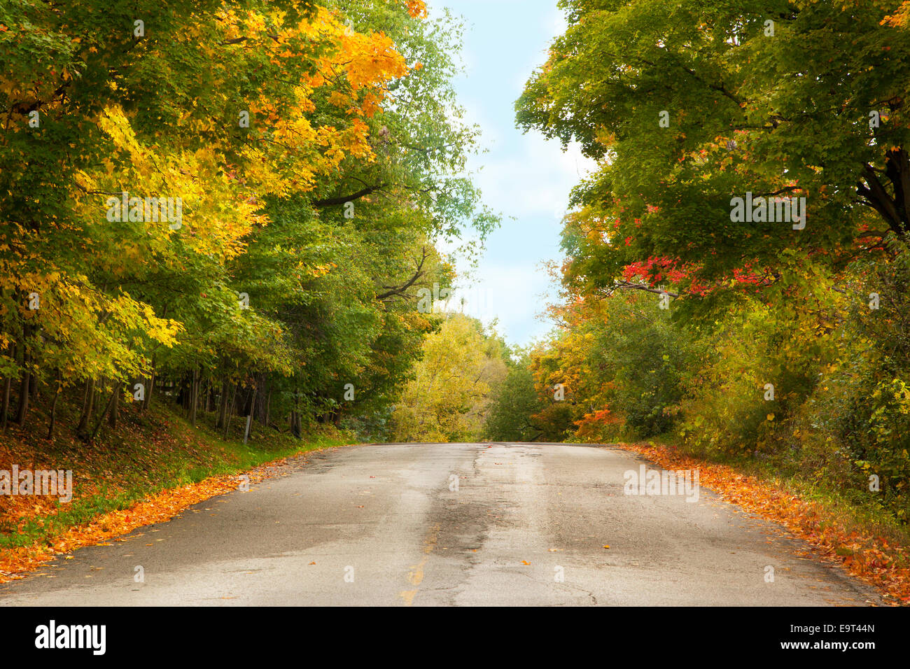 Autumn landscape with road and beautiful colored trees Stock Photo - Alamy
