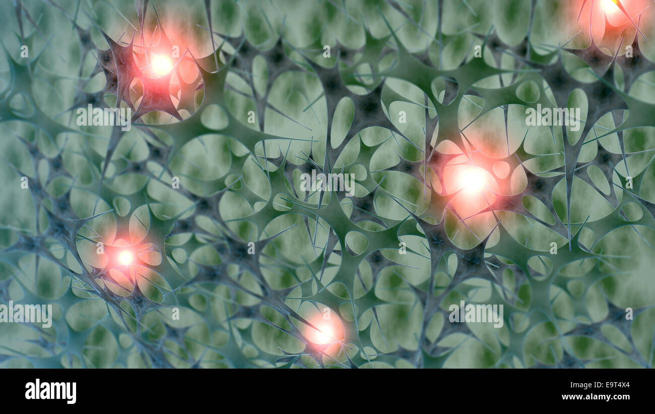 Brain neurons, synapses, reasoning Stock Photo