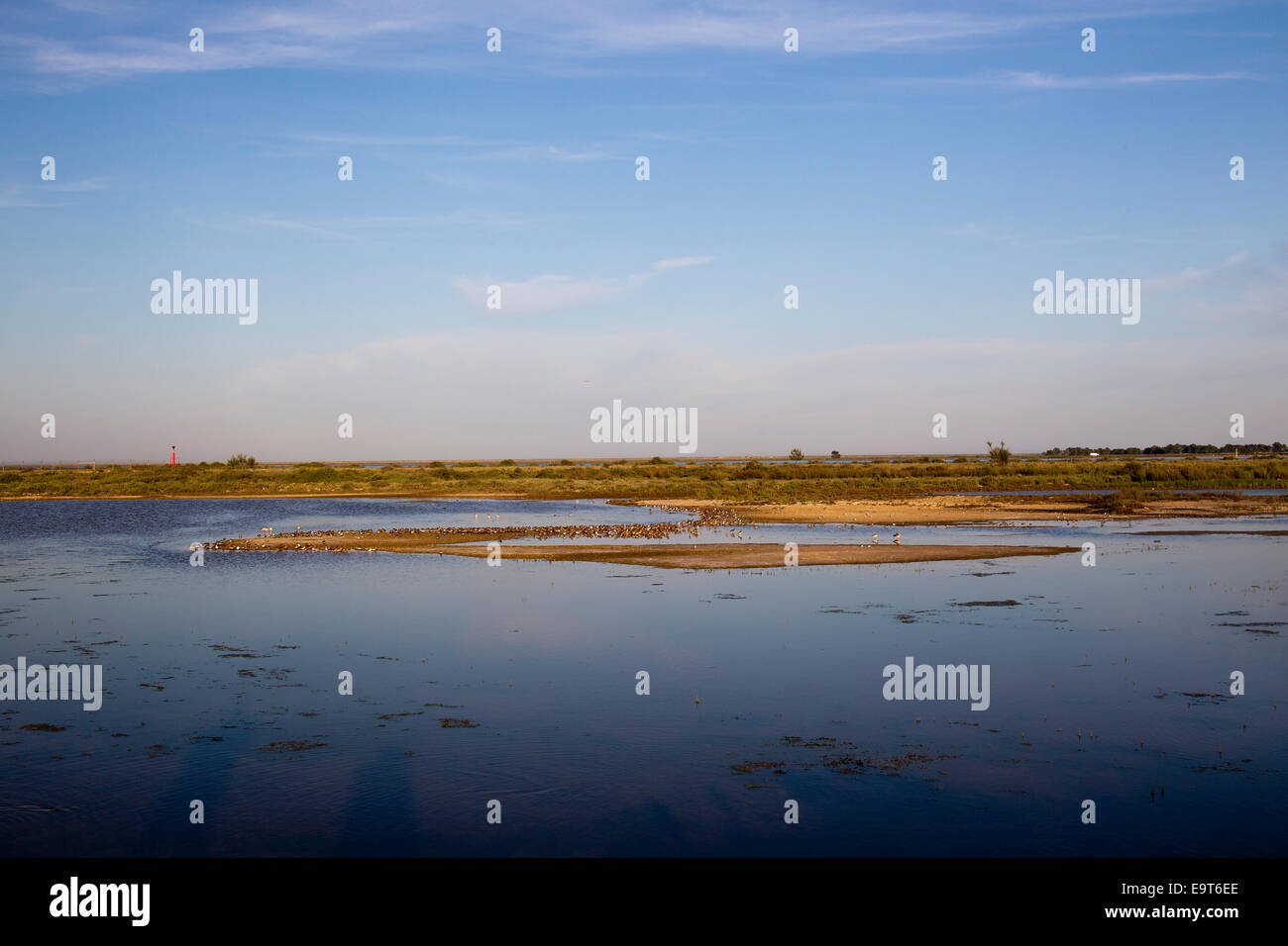 Brackish lagoon hi-res stock photography and images - Alamy