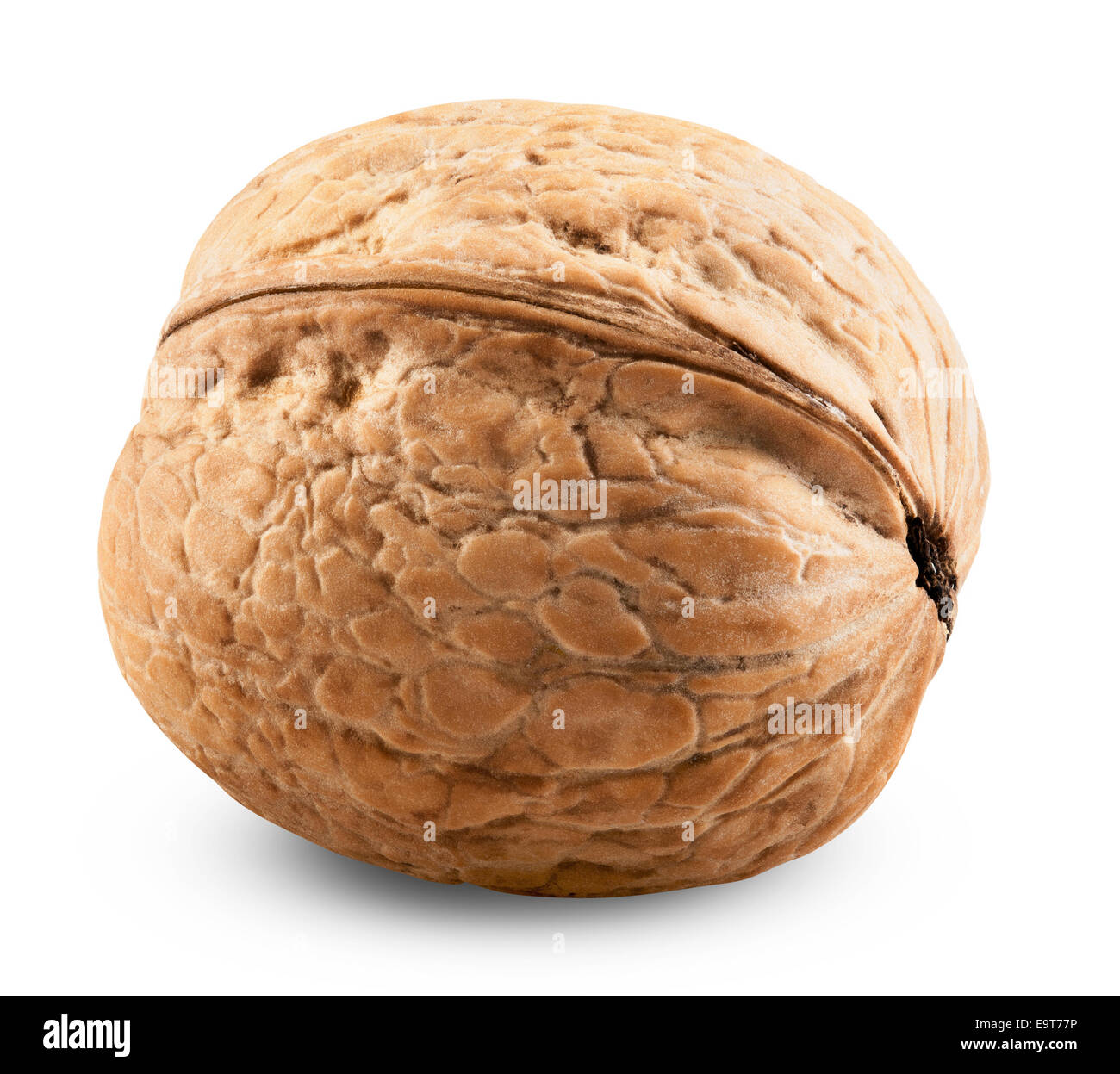 Single walnut isolated on a white background. Clipping Path Stock Photo