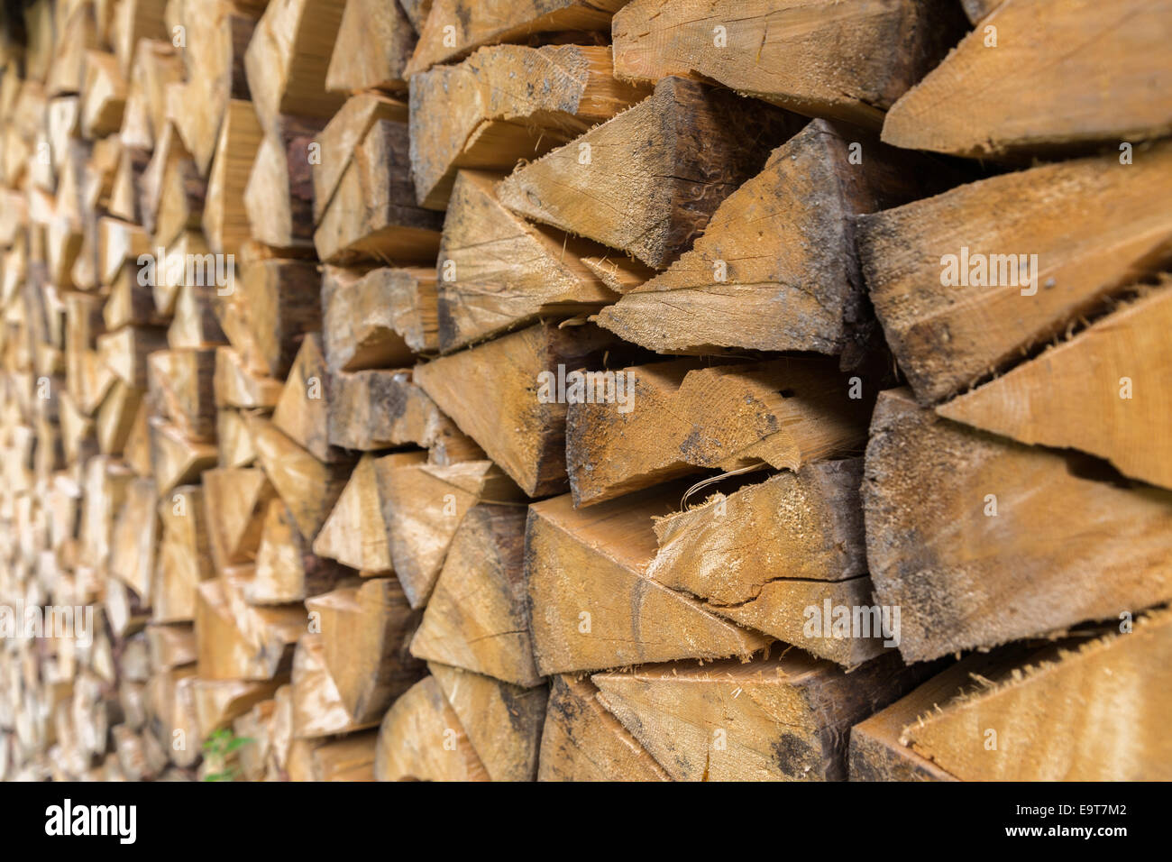 Side view of stacked logs prepared for winter Stock Photo