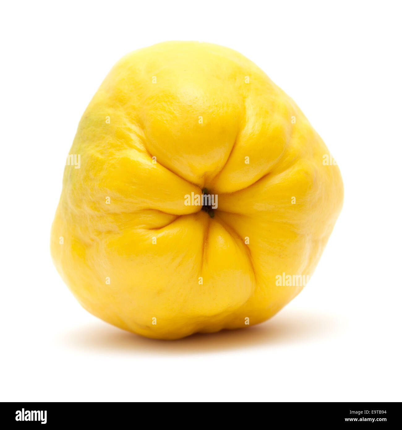 yellow quince fruit isolated on white background Stock Photo Alamy