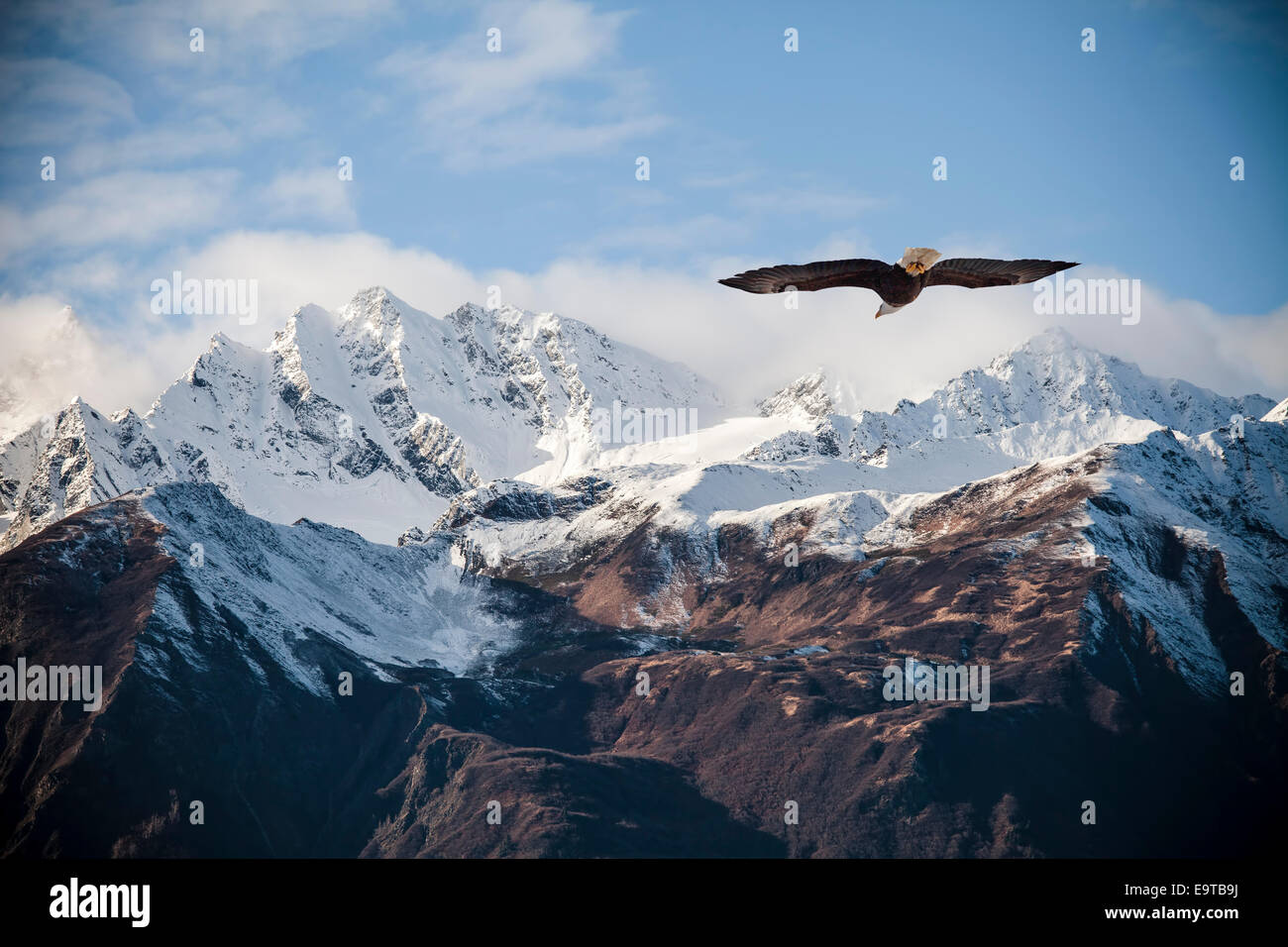 Eagle flying mountain hi-res stock photography and images - Alamy