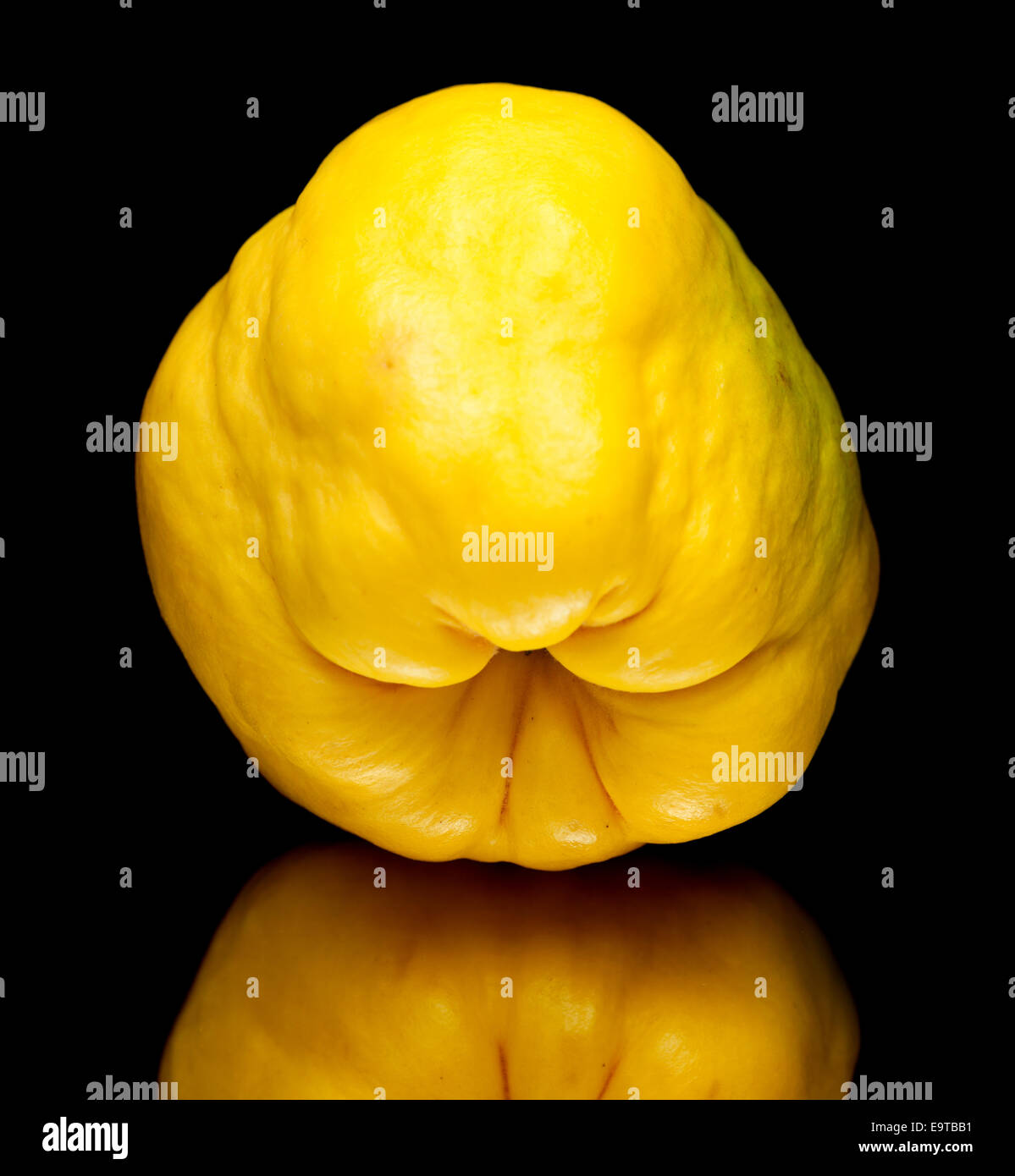 yellow quince fruit isolated on black background Stock Photo