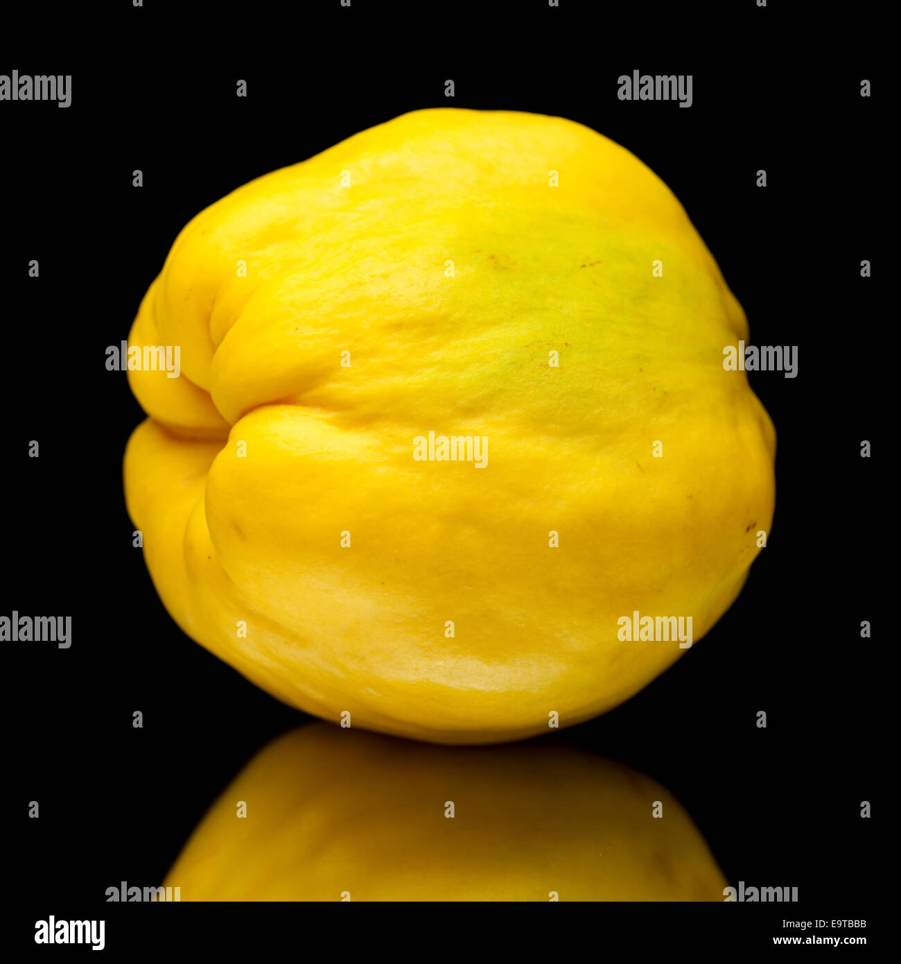 yellow quince fruit isolated on black background Stock Photo