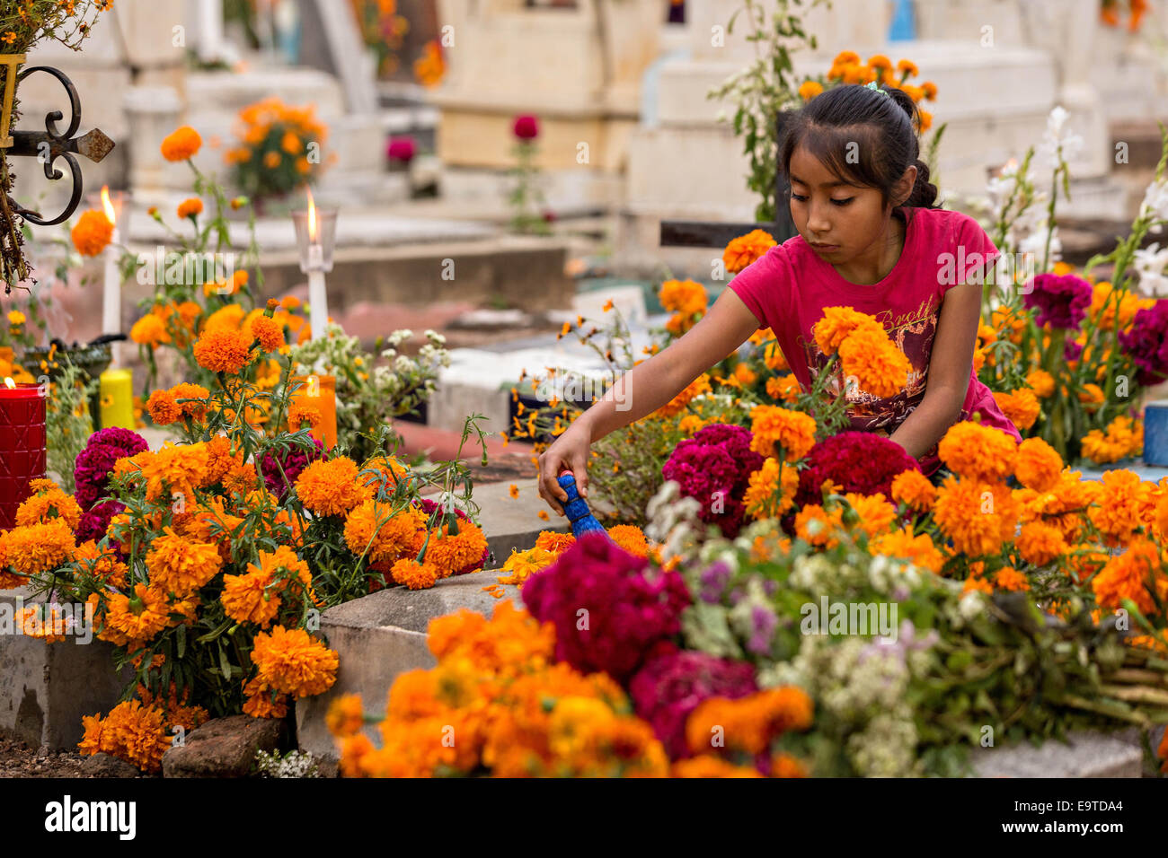 Oaxaca, Oaxaca, Mexico. 31st Oct, 2014. A young girl helps clean and ...