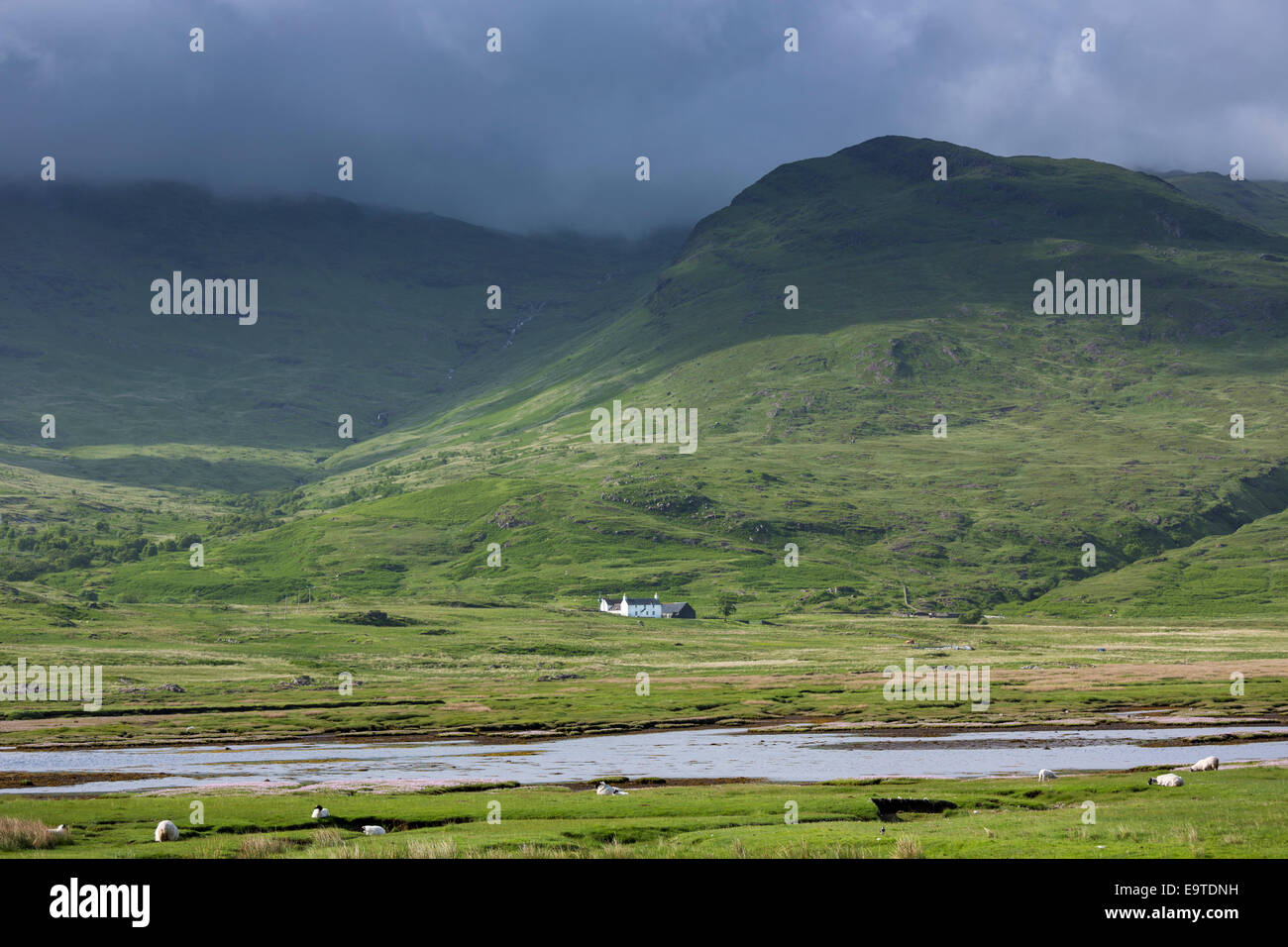 Solitary white croft farmhouse and farm barn nestling below mountain range by loch under moody sky on Isle of Mull in the Inner Stock Photo