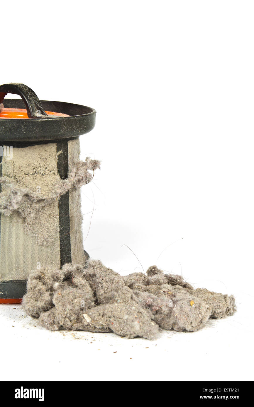 Contaminated with dust and debris filter and strainer home vacuum cleaner Stock Photo