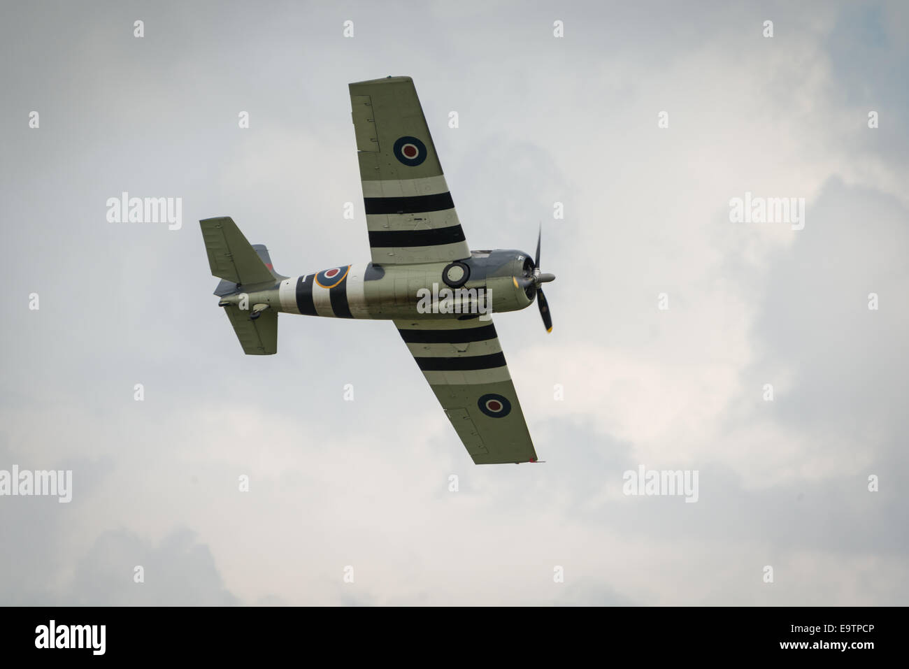 Duxford,UK - 13 July 2014: Vintage Grumman Wildcat (Martlet) in flight  at Duxford Flying Legends Airshow Stock Photo