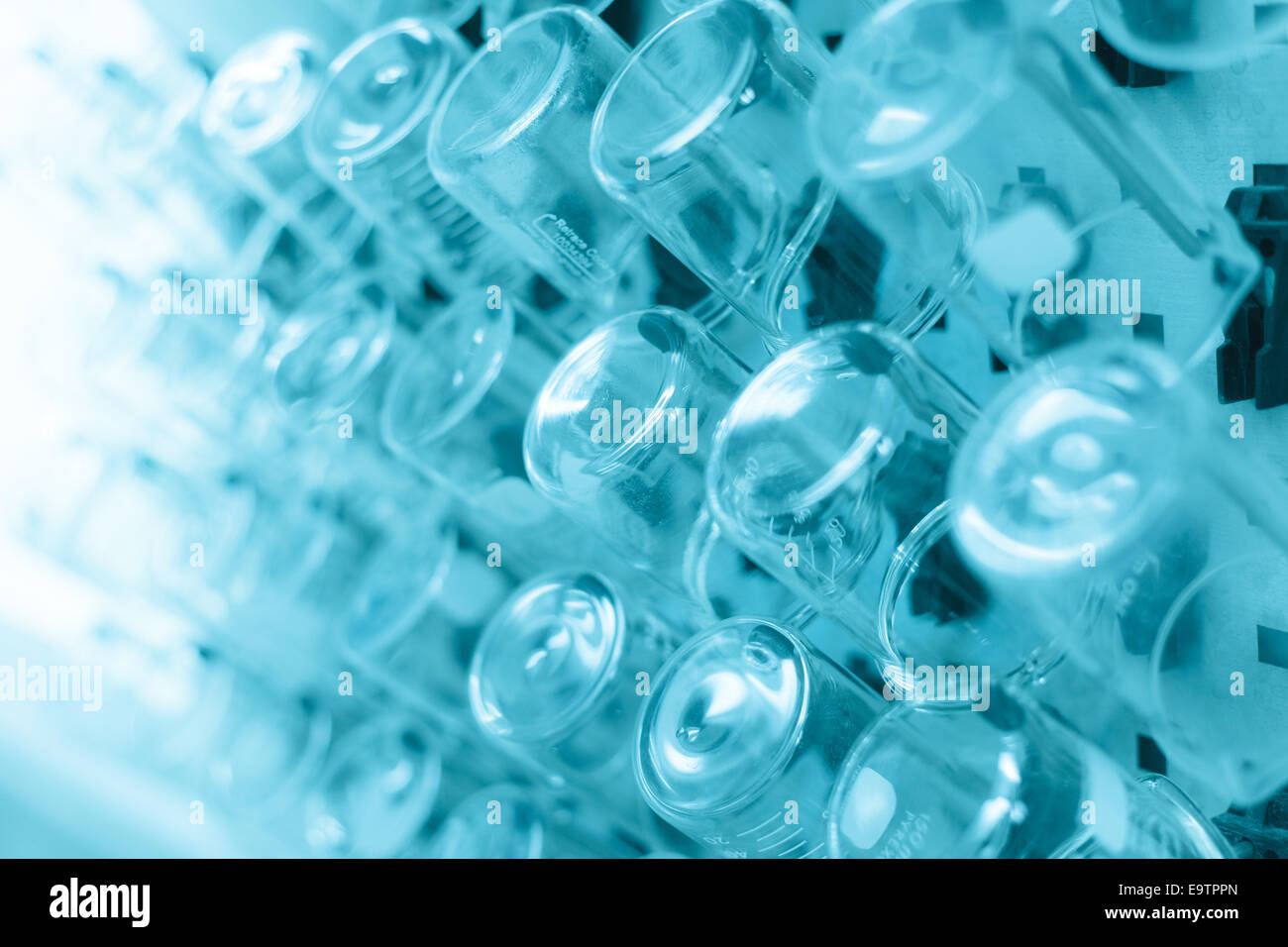 Rows of beaker on a drying rack in a chemistry lab Stock Photo Alamy