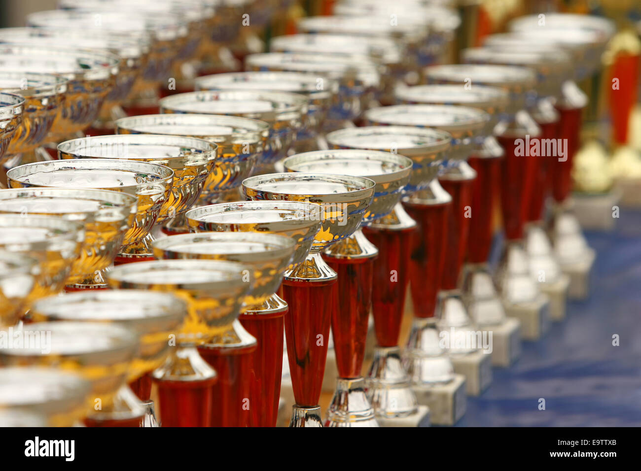 Silver champion trophies lined up in rows. Stock Photo