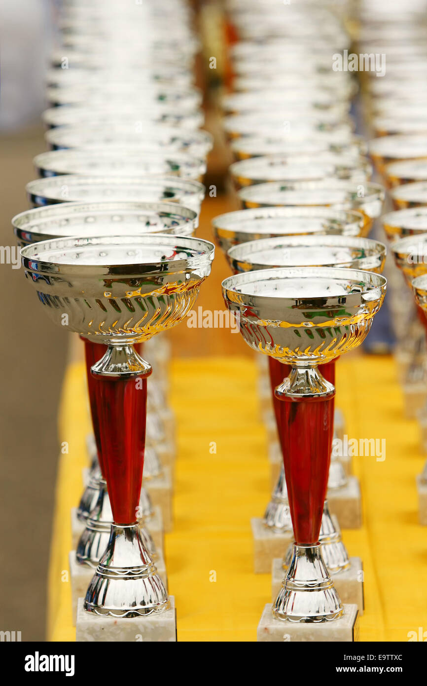 Silver champion trophies lined up in rows. Stock Photo