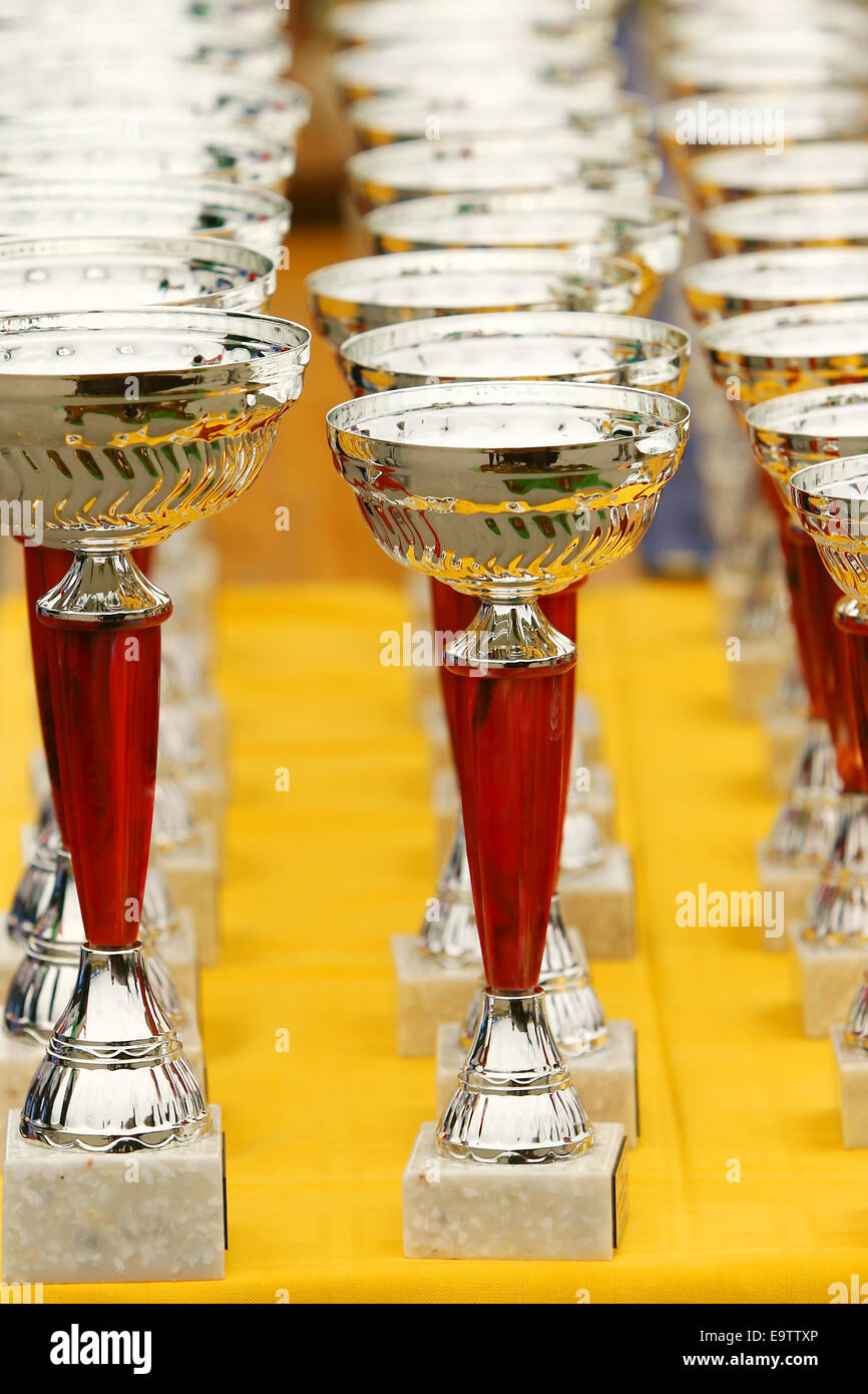 Close up of silver champion trophies lined up in rows. Stock Photo