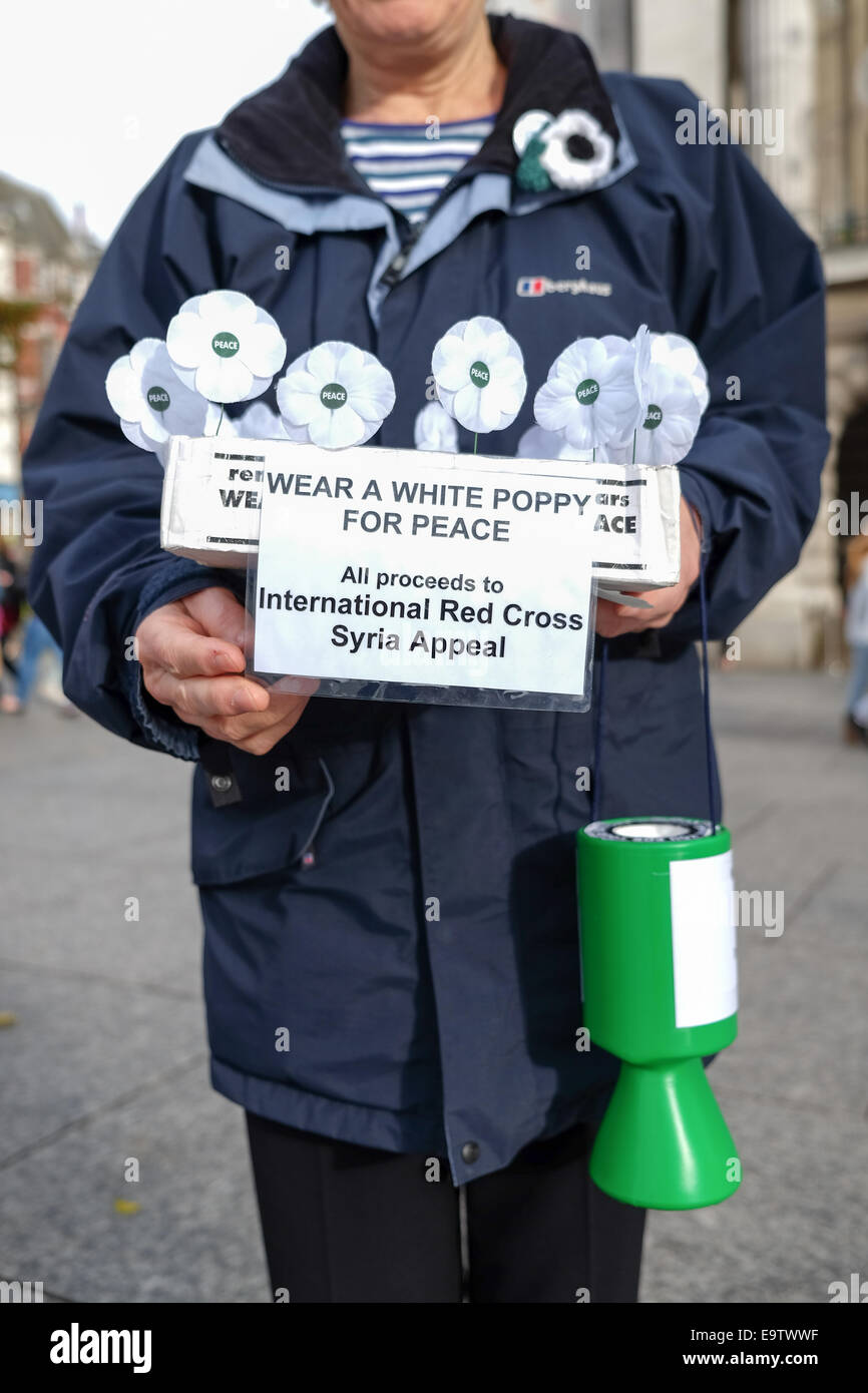 Poppy Appeal Collection 2021 - Charity Walk for Peace