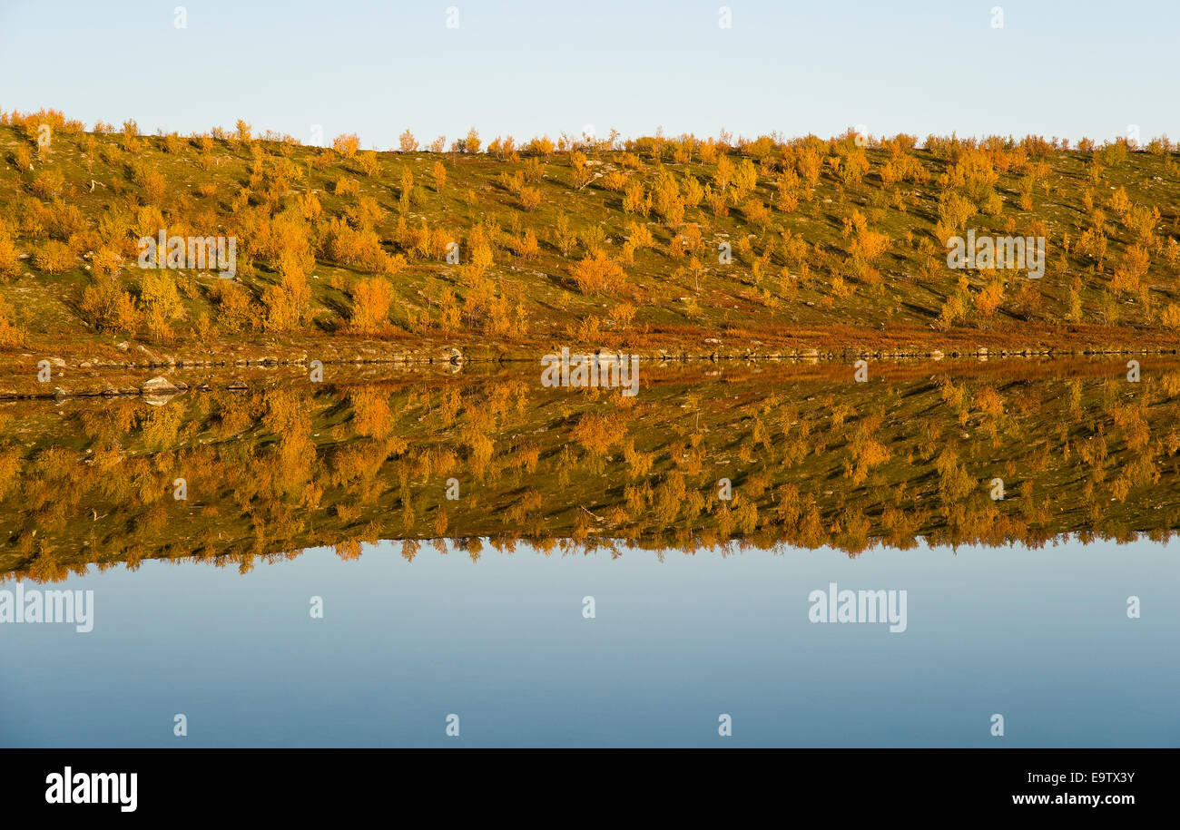Lake bank reflects at water Stock Photo