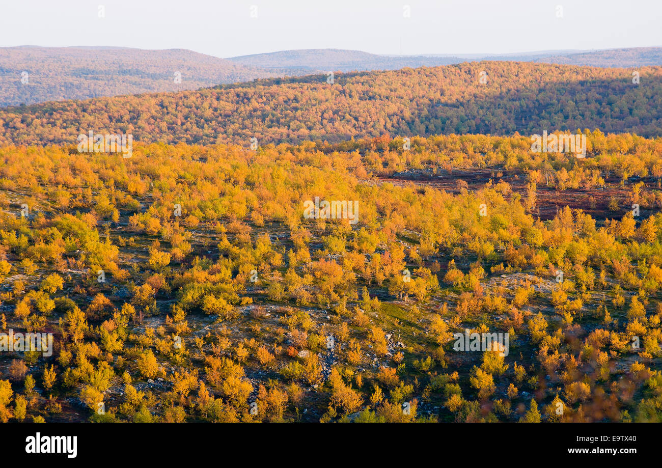 Autumn colours of the fells Stock Photo